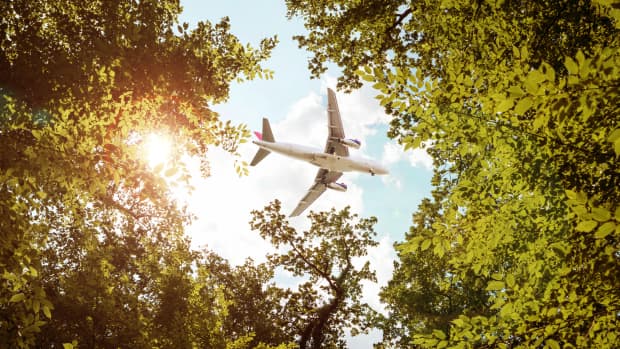 Flugzeug über grünen Baumwipfeln lässt über co2-Kompensation nachdenken