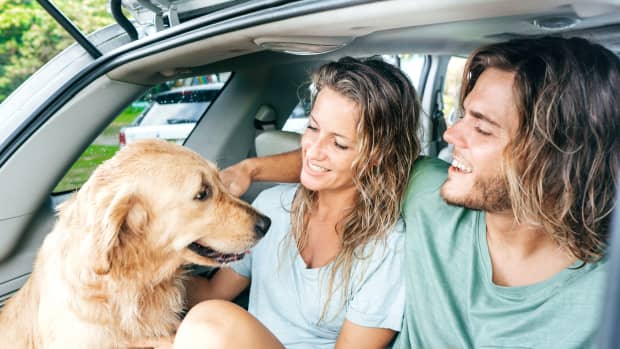 Paar sitzt mit Hund im Kofferraum