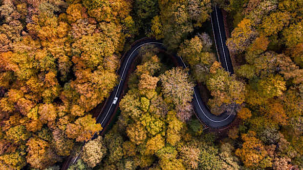 Ein Auto fährt auf einer herbstlichen Straße