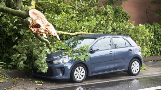 Baum ist auf Auto gefallen