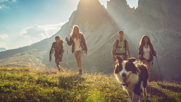 eine Gruppe junger Leute wandert mit ihrem Hund in den Bergen