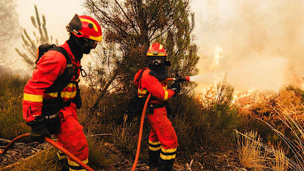 Feuerwehrmänner versuchen in der Region Galizien einen Waldbrand zu lösche.