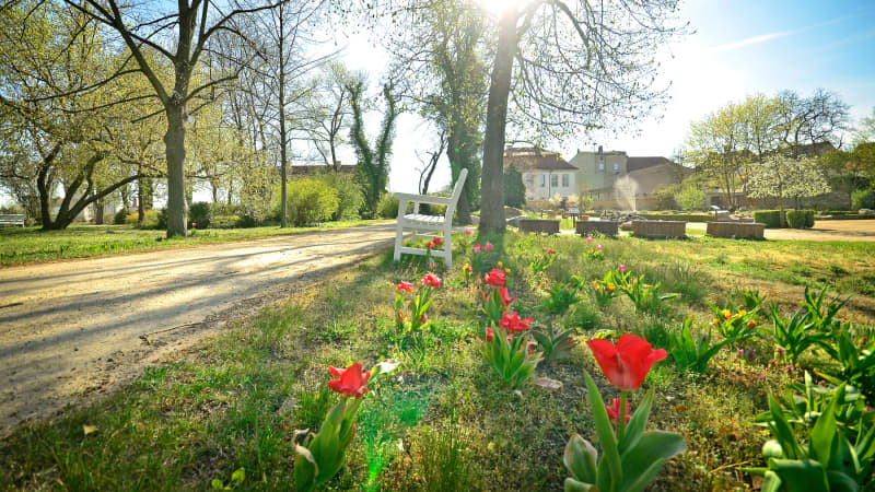Ein Weg mit roten Tulpen im Schlosspark Oranienburg im Frühling
