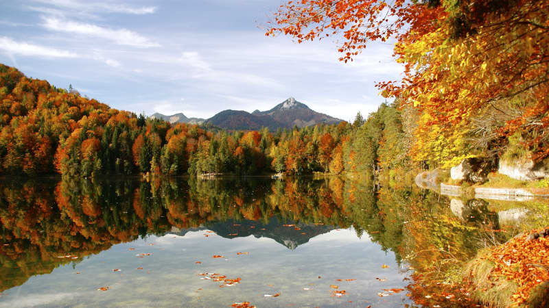 Herbstwald rund um einen See