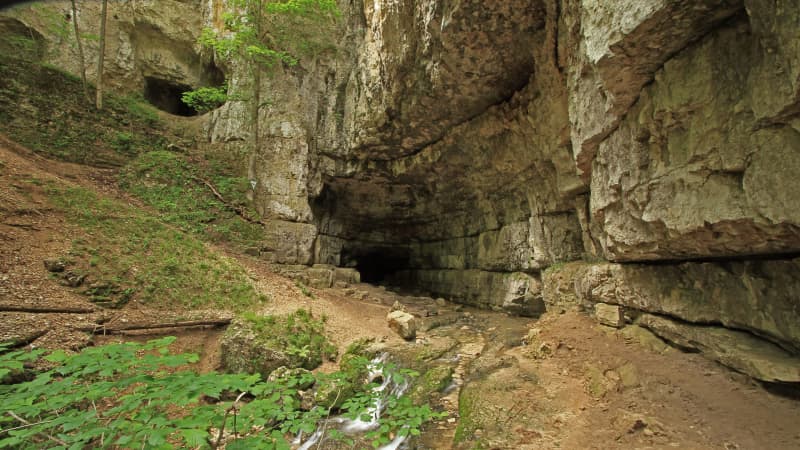 Der Eingang einer Höhle im Felsen