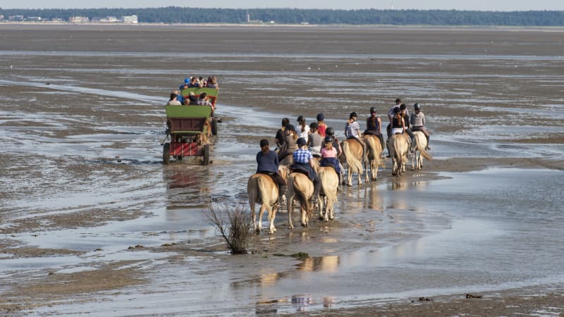 Pferdekutsche und ein paar Reiter durchqueren das Wattenmeer