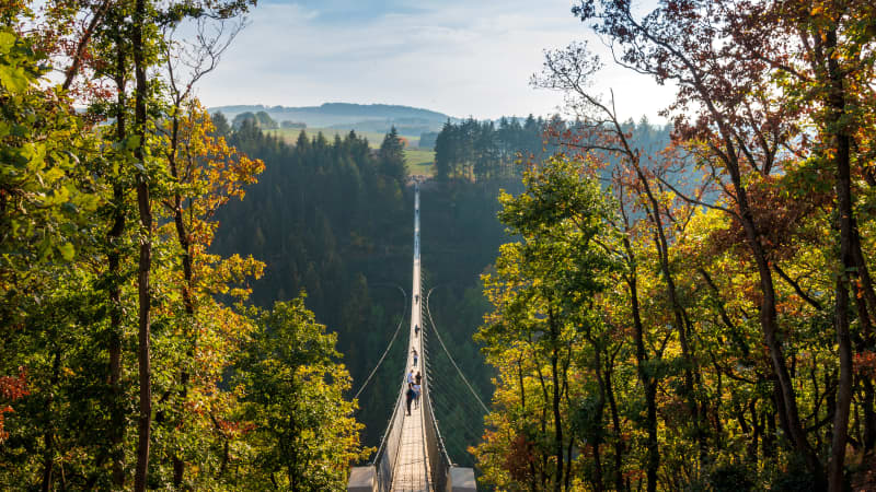 Eine lange Hängebrücke in einer herbstlichen Waldlandschaft