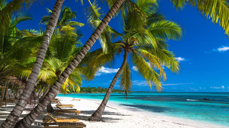 Ein Traumstrand mit Palmen und blauem Meer in der Dominikanischen Republik
