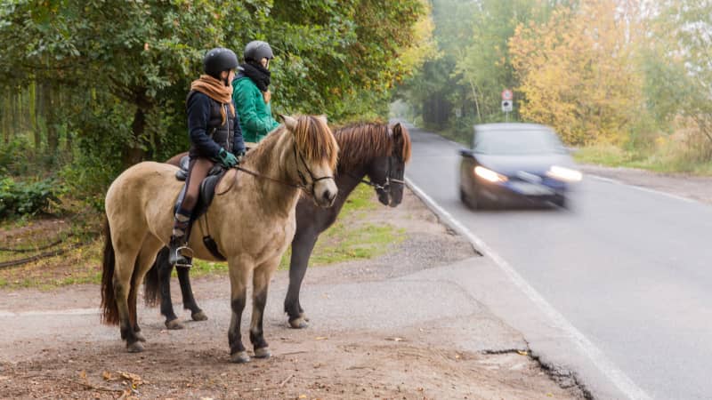 Zwei Reiter stehen mit Pferd am Strassenrand