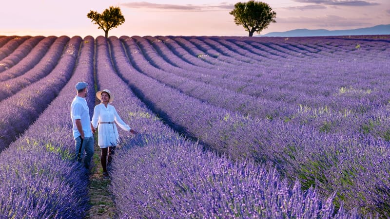 Pärchen in einem Lavendelfeld in der Provence in Frankreich