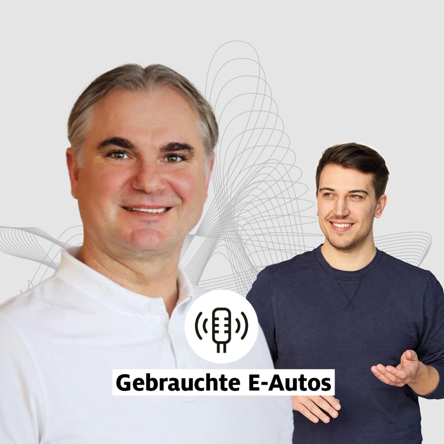 Gebrauchte E-Autos