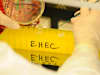 Labar untersuchung EHEC Virus