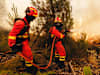 Feuerwehrmänner versuchen in der Region Galizien einen Waldbrand zu lösche.