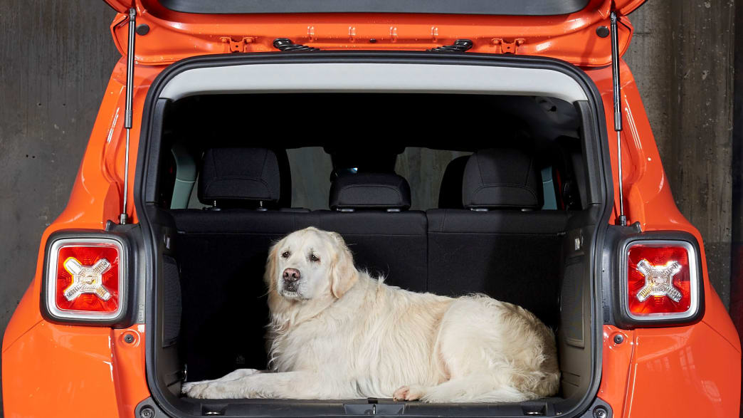Hund Im Auto Hundetransport Systeme Adac