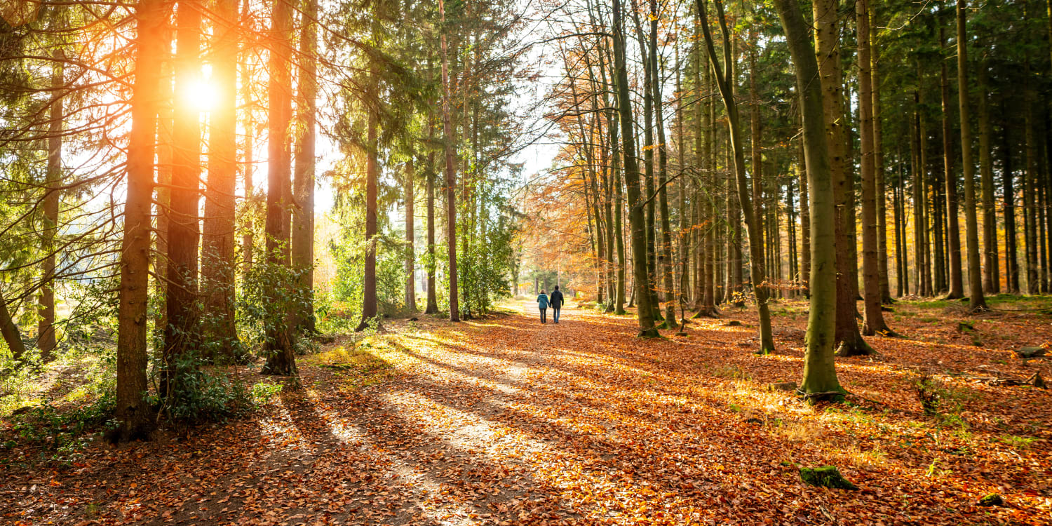Herbstferien Nrw