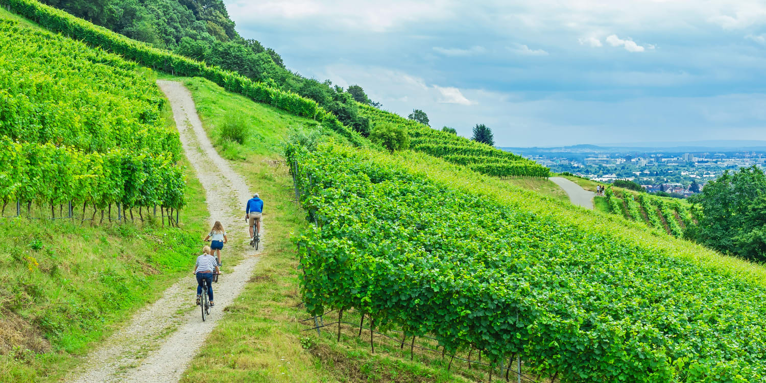 Badische Weinstraße Route und Tipps ADAC