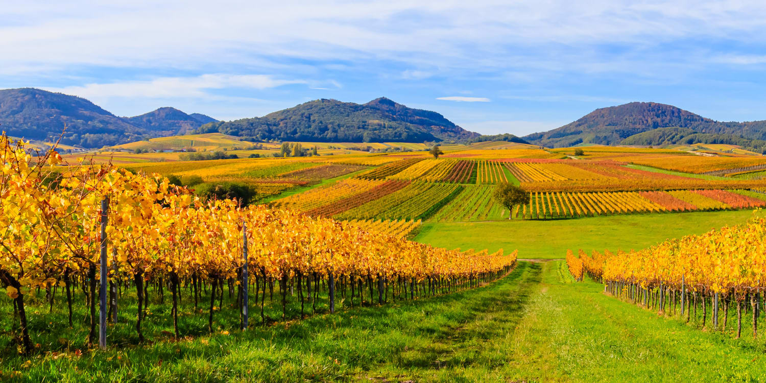 Deutsche Weinstra e Routen Und Karten