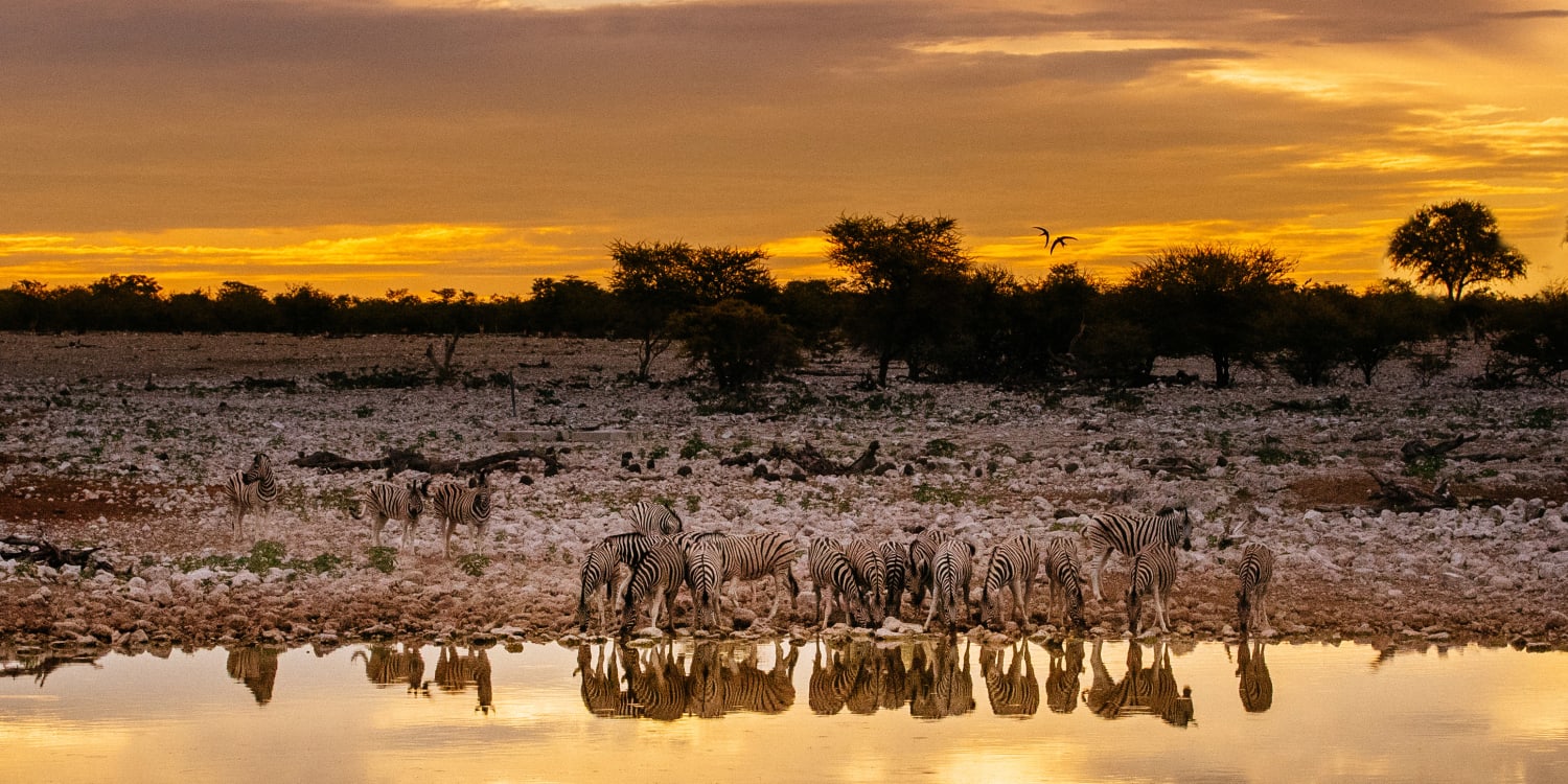 Namibia Alles zu Impfungen, Krankheiten & Einreise