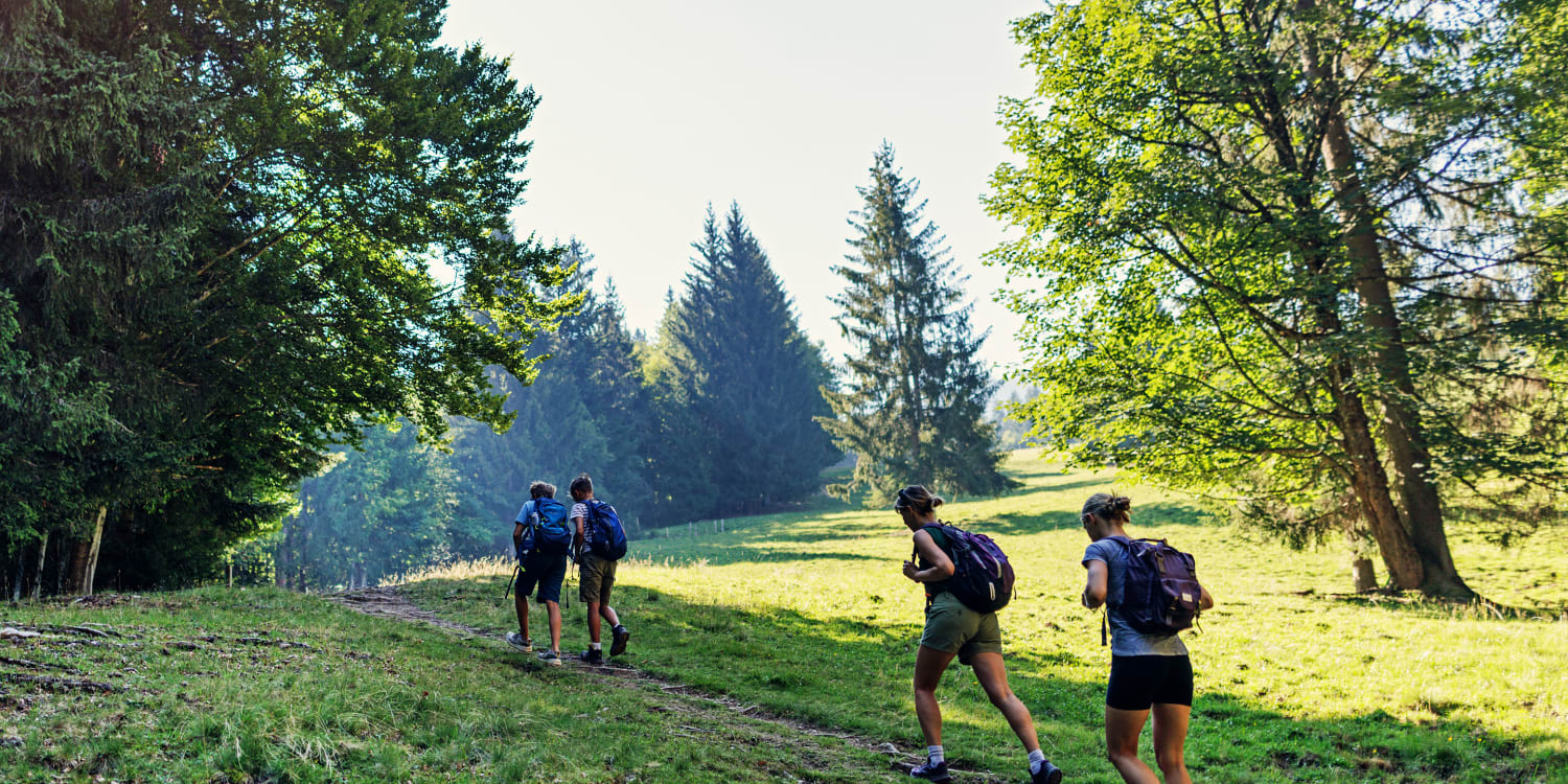 Die 16 schönsten Wanderwege in Deutschland