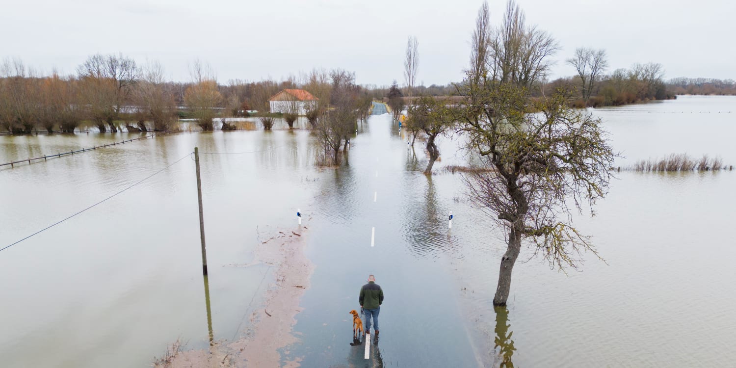 Hochwasser in Deutschland: So ist die aktuelle Straßenlage