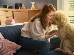 ADAC Haustier-Reiseversicherung