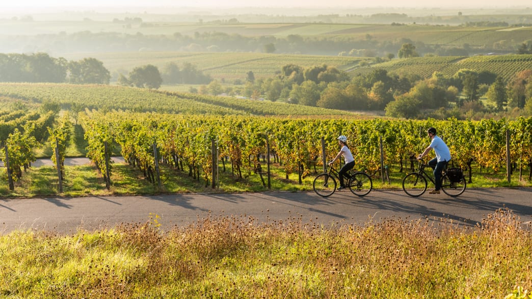 Deutsche Weinstraße Routen und Karten ADAC
