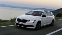 Praktische Autos Fur Hundebesitzer Adac