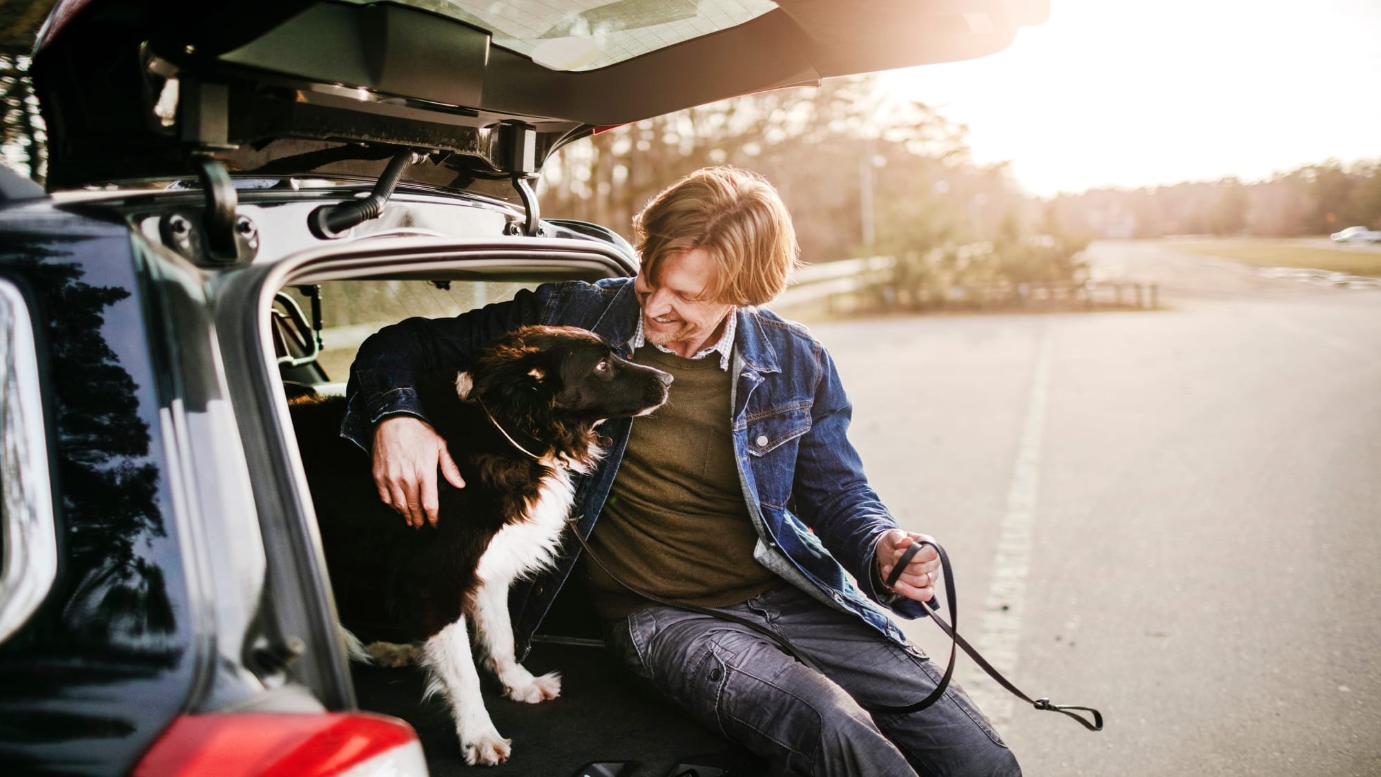 Autos Fur Hundebesitzer Adac