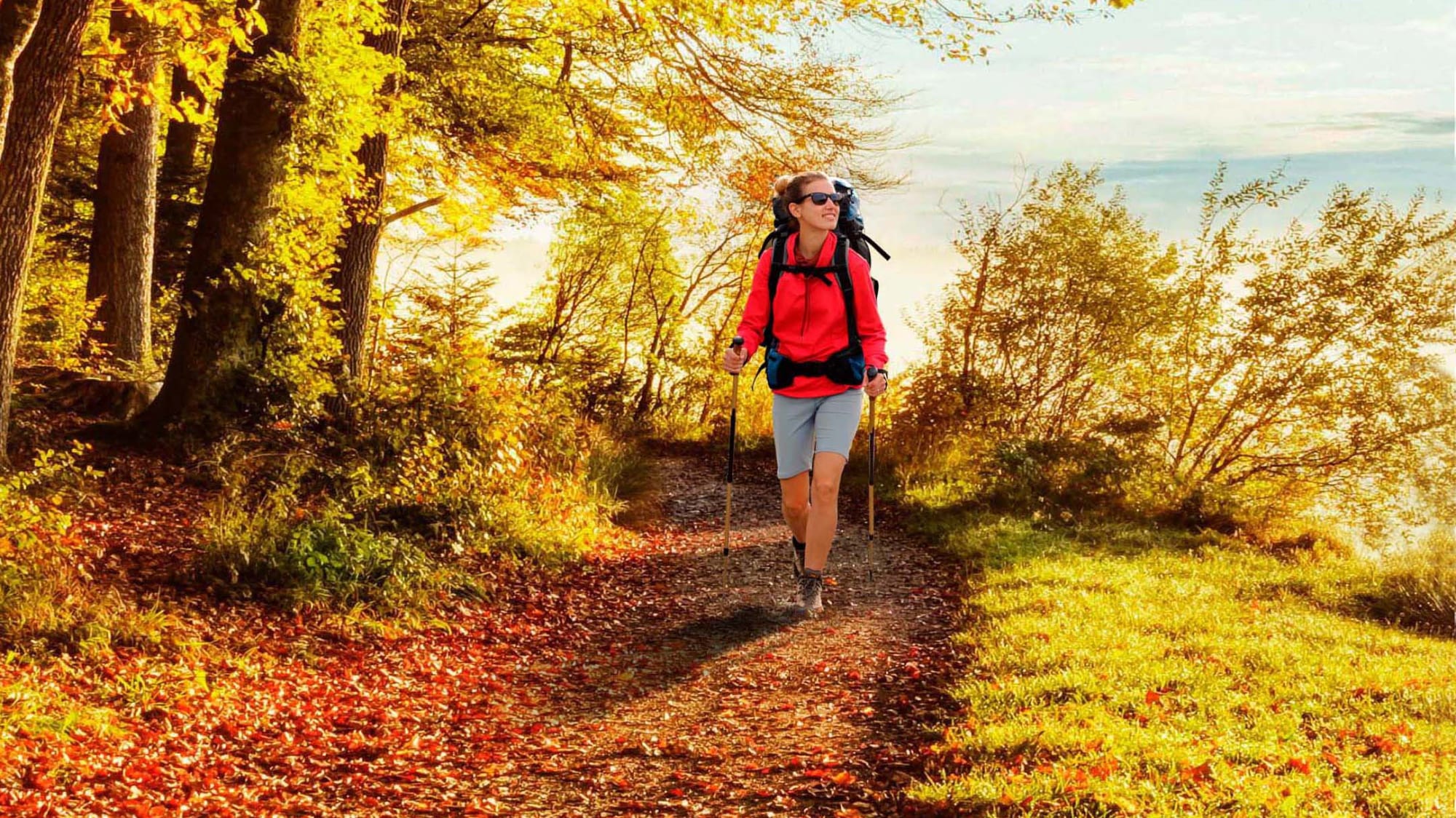 Die 14 Schonsten Wanderwege In Deutschland Adac