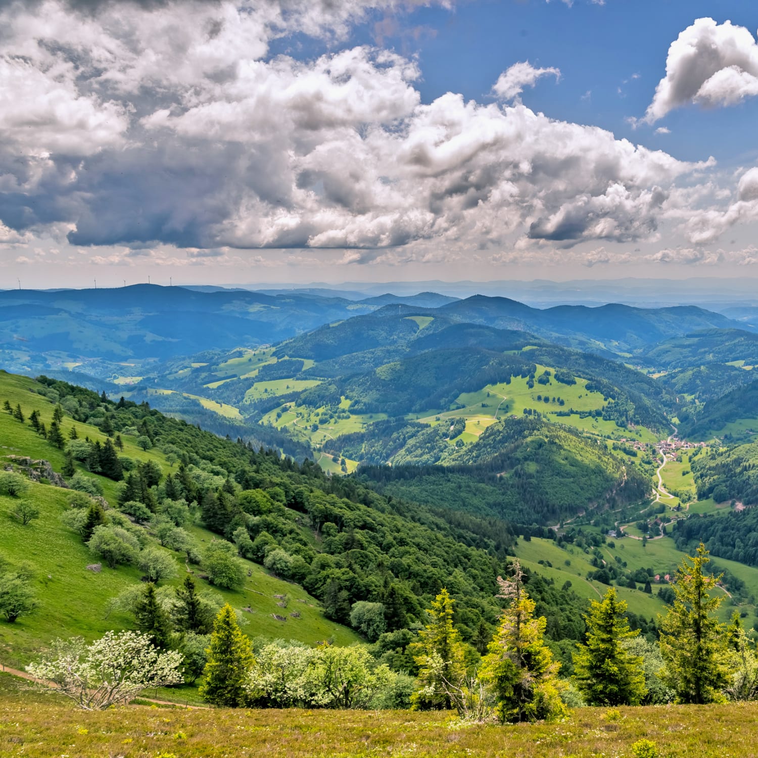 Deutschlands schönste Wanderwege liegen in Baden ...