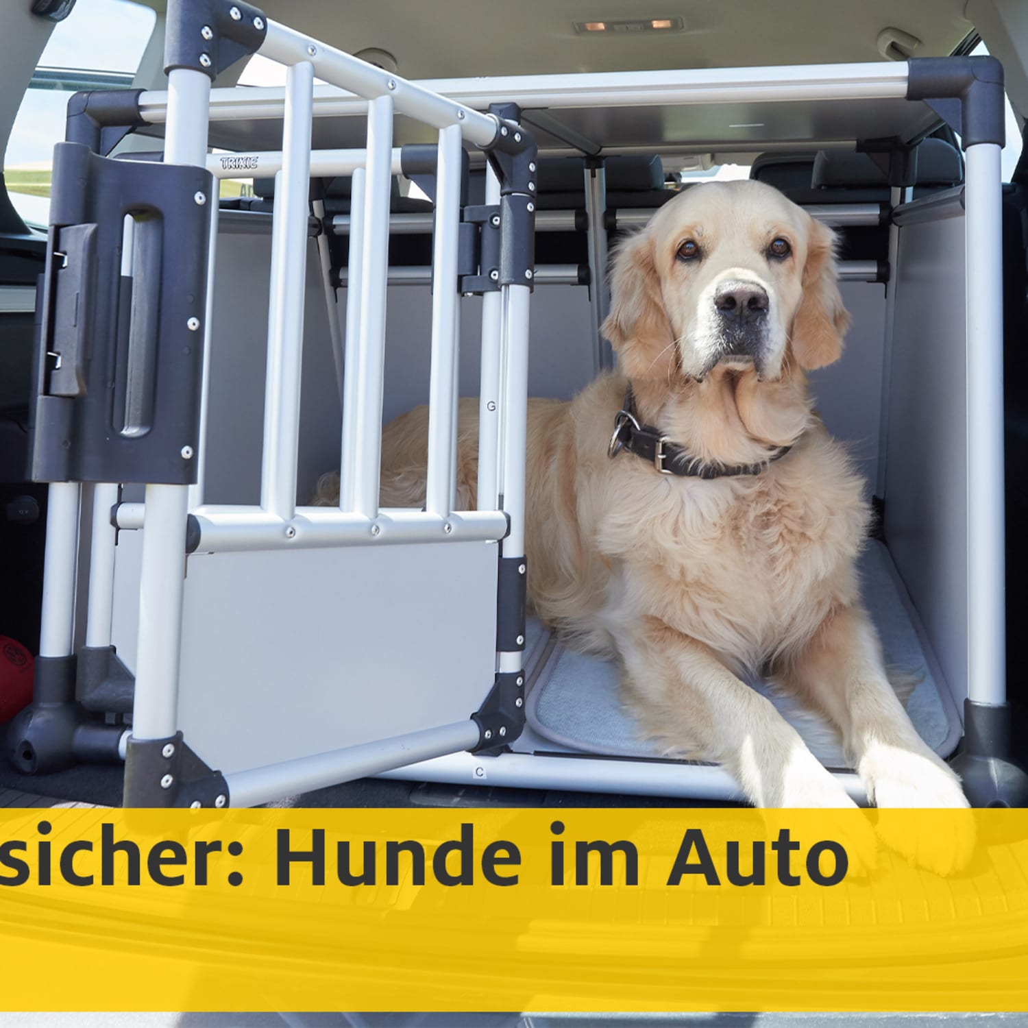 Hund im Auto HundetransportSysteme ADAC