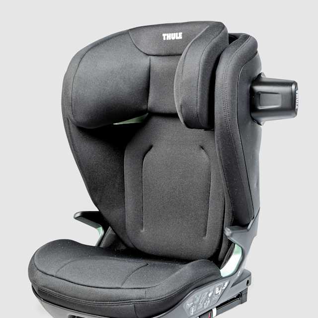 Thule Palm