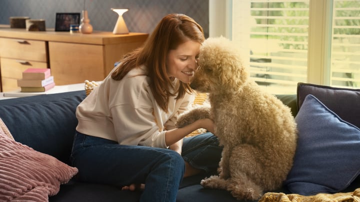 Frau sitzt mit Pudel auf einem Sofa und beugt ihren Kopf lächelnd zum Hund