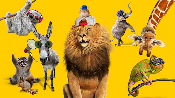 Faultier, Waschbär, Löwe, Maus Eichhörnchen, Esel, Elefant, Giraffe und Chamäleon vor gelbem Hintergrund - Autoversicherung ADAC