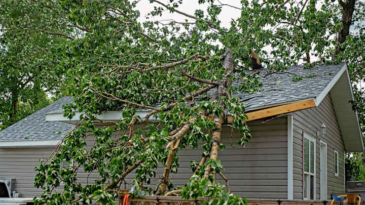 Graues Haus mit großem Baum, der auf das Dach gestürzt ist