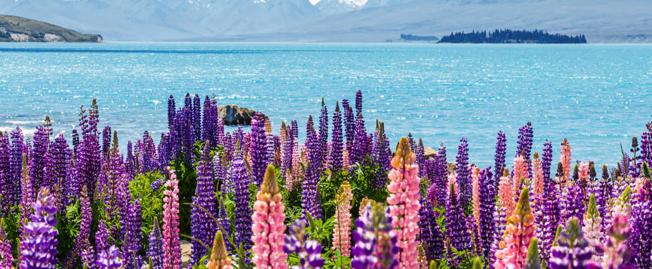 Landschaft am Lake Tekapo in Neuseeland