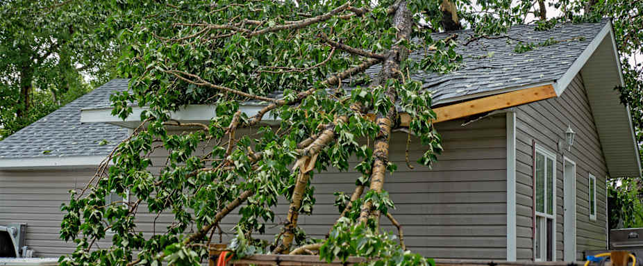 Graues Haus mit großem Baum, der auf das Dach gestürzt ist