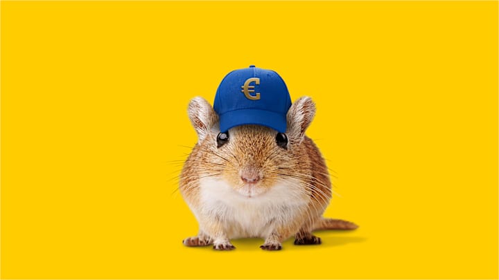 Maus mit Kappe und Eurozeichen - Autoversicherung ADAC