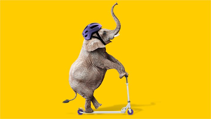 Elefant mit Helm und Roller - Autoversicherung ADAC