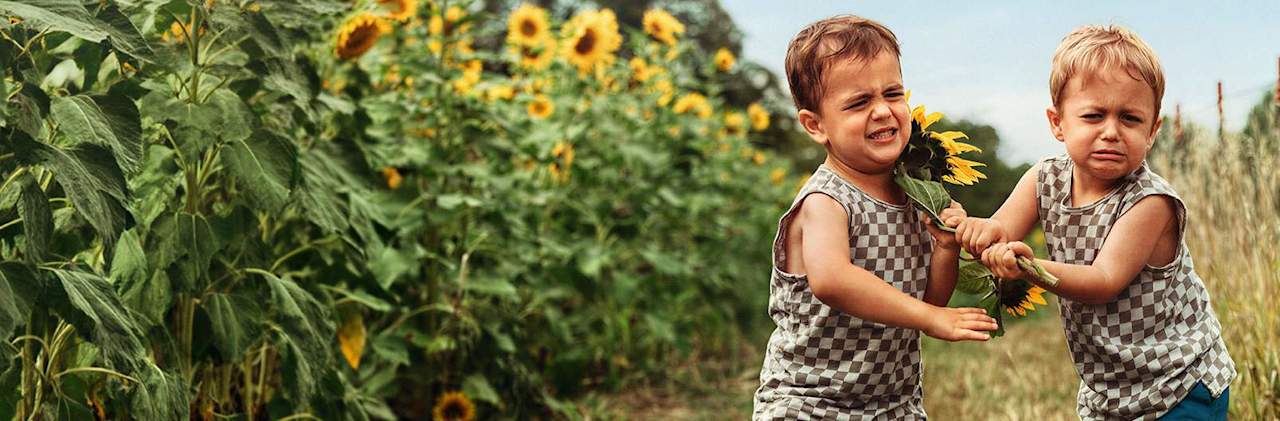 Zwei Jungen streiten sich vor einem Sonnenblumenfeld - Rechtsschutzversicherung ADAC