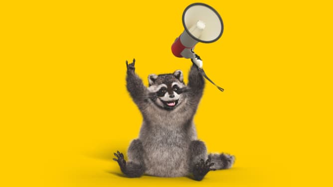 Waschbär mit Megafon freut sich und schaut nach rechts - Autoversicherung ADAC