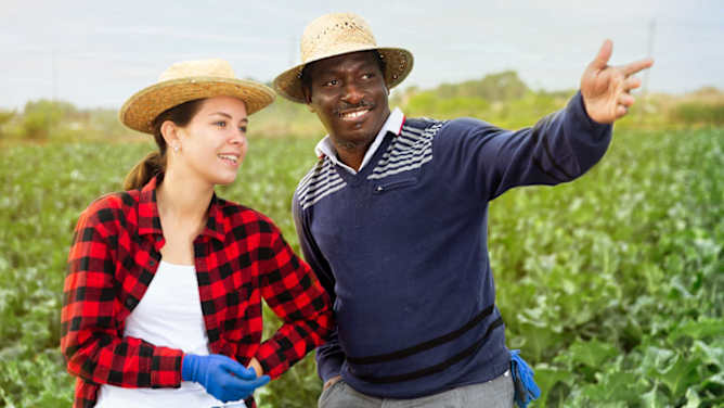 Mann und junge Frau stehen nebeneinander auf dem Feld und schauen gemeinsam  in die Ferne