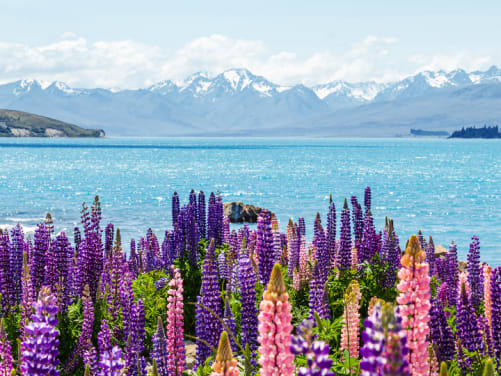 Landschaft am Lake Tekapo in Neuseeland