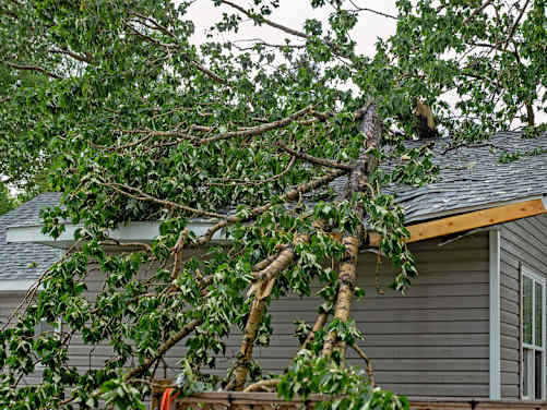 Graues Haus mit großem Baum, der auf das Dach gestürzt ist