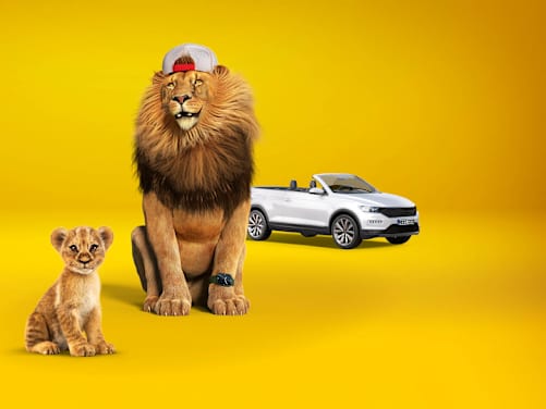 Großer Löwe und kleiner Löwe sitzen vor weißem Auto - Kfz-Versicherung ADAC