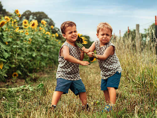 Zwei Jungen streiten sich vor einem Sonnenblumenfeld - Rechtsschutzversicherung ADAC