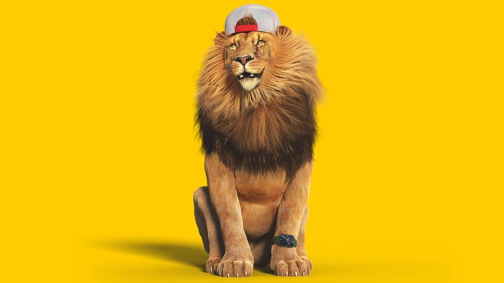 Löwe mit Mütze Kappe und Uhr lacht - Autoversicherung ADAC