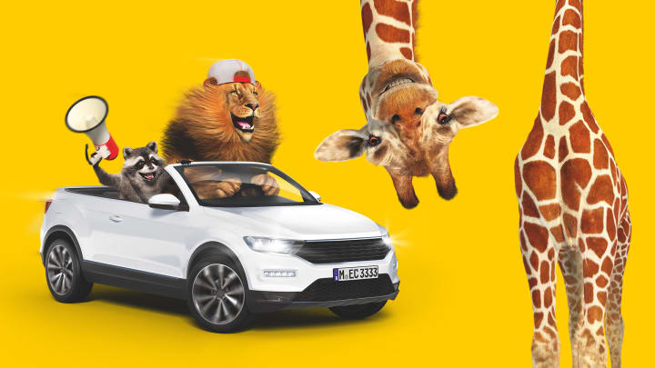 Löwe und Waschbär fahren im Auto, Giraffe steht über Kopf - Autoversicherung ADAC