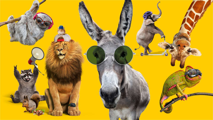Faultier, Waschbär, Löwe, Maus Eichhörnchen, Esel, Elefant, Giraffe und Chamäleon vor gelbem Hintergrund - Autoversicherung ADAC