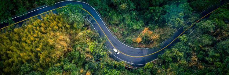 Auto fährt auf Straße durch grünen Wald - Ressourcenschonend Fahren ADAC